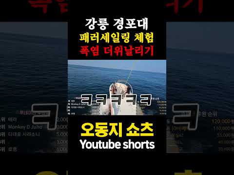 패러세일링 체험 중 놀란 <strong>동지</strong> &amp;quot;타보신분 후기 남겨주세요!&amp;quot;#shorts