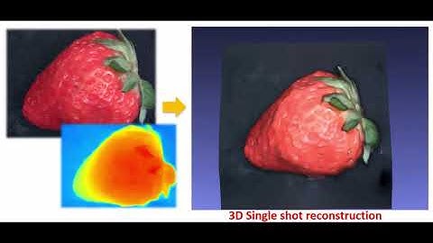 3D Single Shot Reconstruction with apiCAM - A Strawberry
