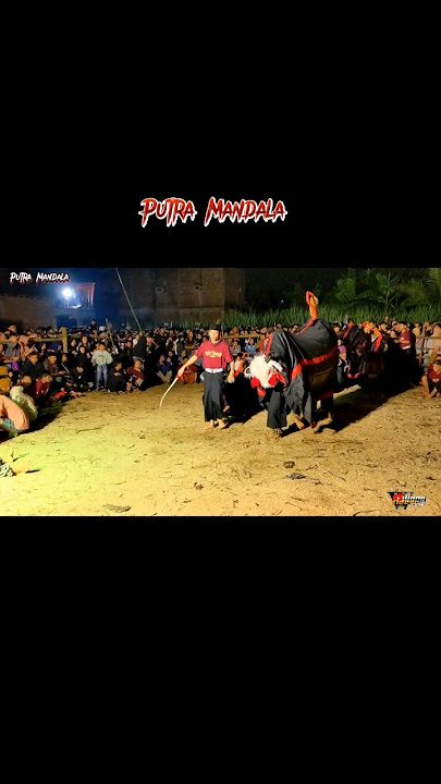 putra mandala Dj malam pagi #short #shorts #djbantengan #bantengan #putramandala