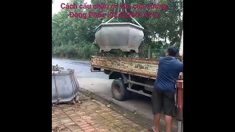 cách cẩu chậu cỡ lớn