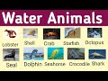Water Animals Names In English And Hindi/Name Of Different Water Animals