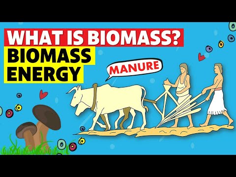 Video: Waarom zijn biomassa belangrijk?