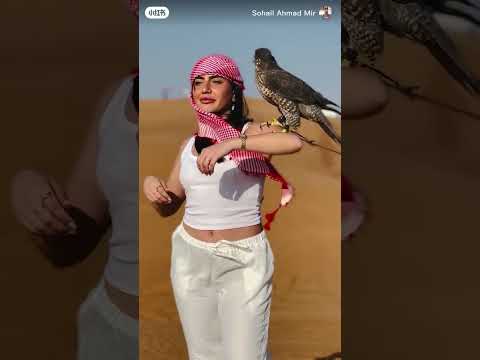 المملكه بحفظ الله Si