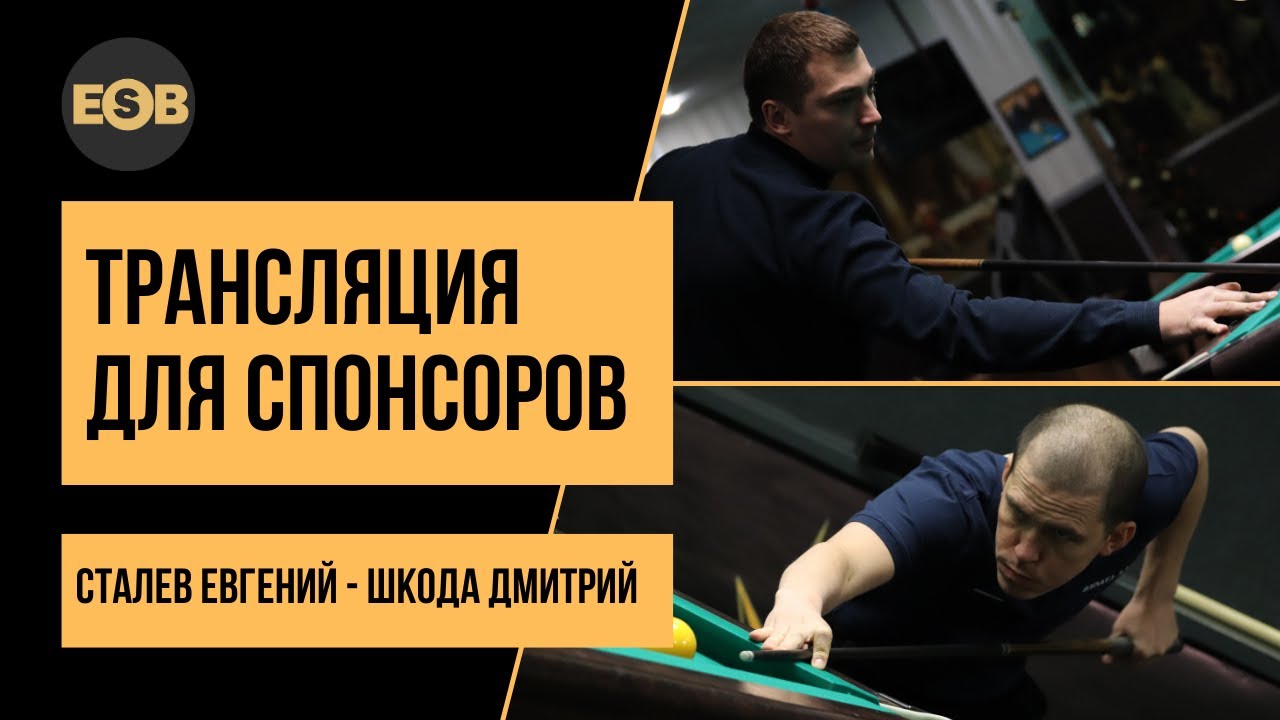 Дмитрий шкода бильярдист википедия