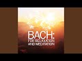Miniature de la vidéo de la chanson Brandenburg Concerto No. 5: Iii. Allegro