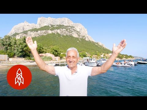 Video: Tavolara island description and photos - Italy: Olbia (Sardinia island)