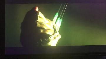 The First Purge - Skeletor’s Purge is on part 1