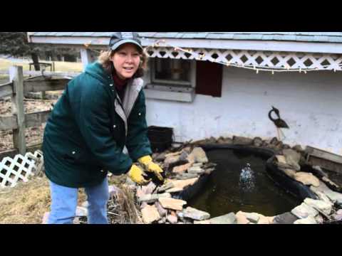 Why volunteer at Flint Hill Farm?