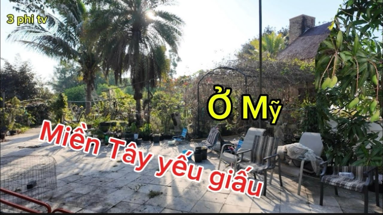 Đi bắt gà giống” đến nơi tưởng mình đã về đến” Miền Tây Việt Nam “ part 1