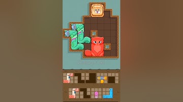 Puzzle Cats - Gameplay Walkchrough (iOS & Android) #funny #games #shorts #1hour