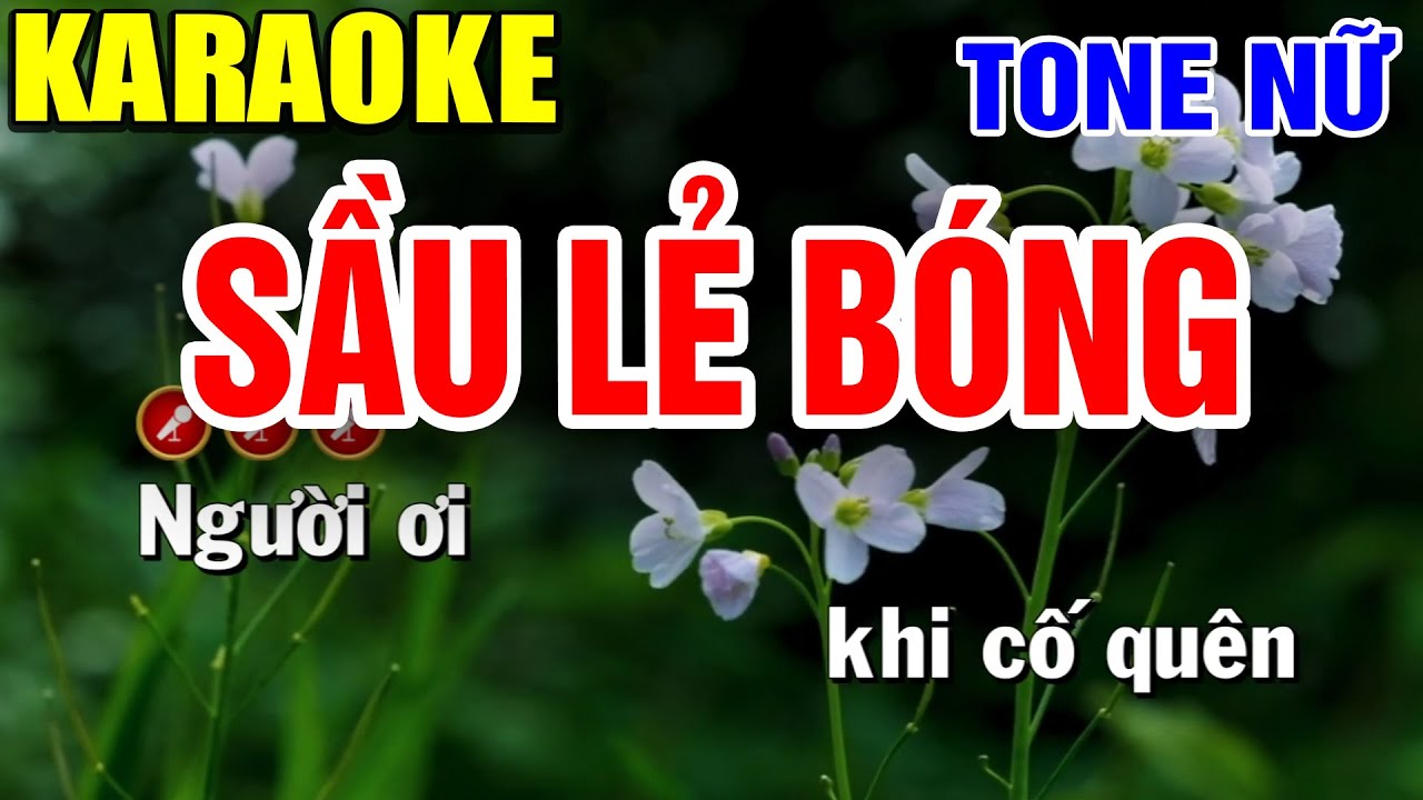 SẦU LẺ BÓNG Karaoke Tone Nữ ( BEAT CHUẨN ) ► Dũng Trần Karaoke