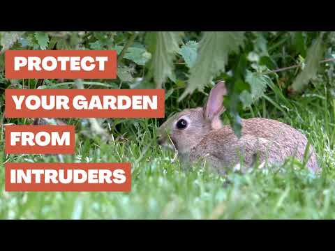Fresh from Country Paint and Hardware | Protect Your Garden From Intruders
