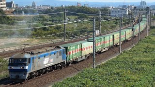 サービスホイッスル!JR貨物EF210-172号機+コキ20B 59レ 福山レールエクスプレス 森岡陸橋通過シーン2本だて!(ホイッスル警笛付き)