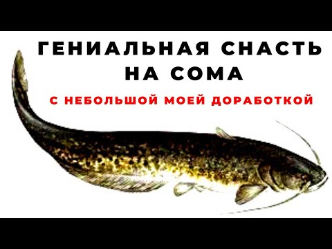 Гениальную снасть придумали рыбаки сомятнки а я лишь добавил свои пять копеек