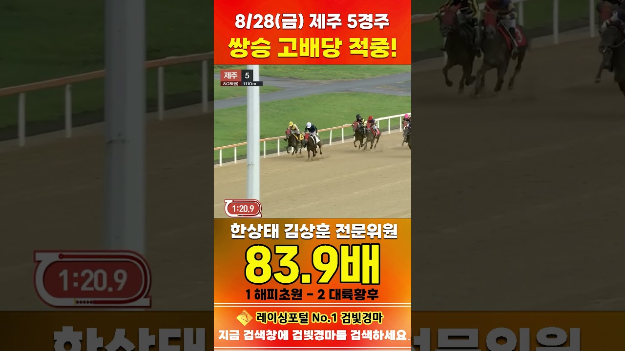 [제주 경마] 8월 28일 금요 5경주 한상태 김상훈 전문위원 쌍승 고배당 적중 #한국마사회 #automobile #경마 #horse #하이라이트 #korean #비트코인 #게임