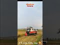 পাকা ধানের সুগন্ধ📌মরিচখালী হওর করিমগঞ্জ কিশোরগঞ্জ#viralvideo #foryoupageシforyou