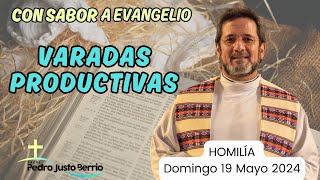 Varadas productivas | Padre Pedro Justo Berrío