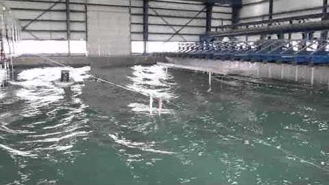 Wave buoy demonstration