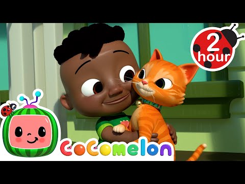 Pet Care | CoComelon Sing Along Songs for Kids | Moonbug Kids Karaoke Time