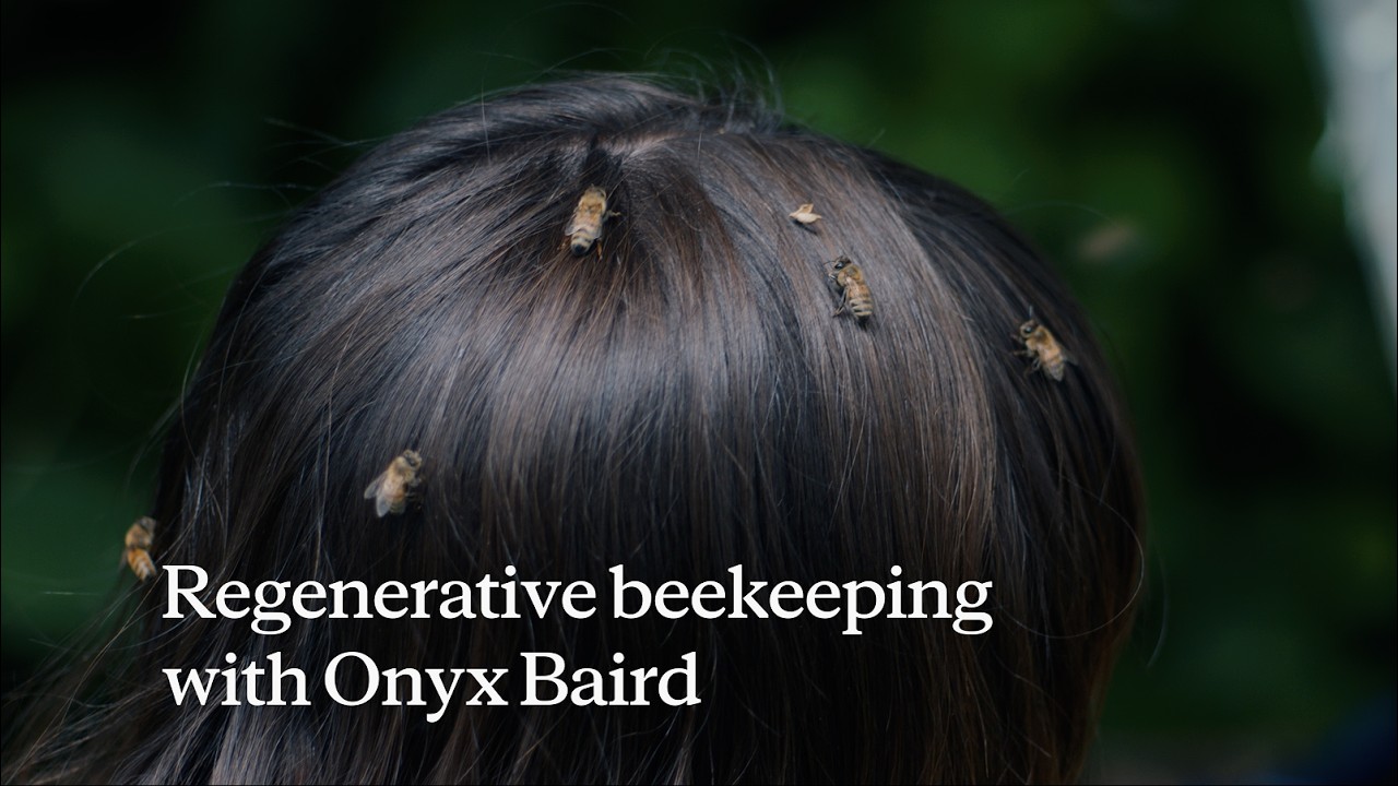 Regenerative beekeeping with Claude
