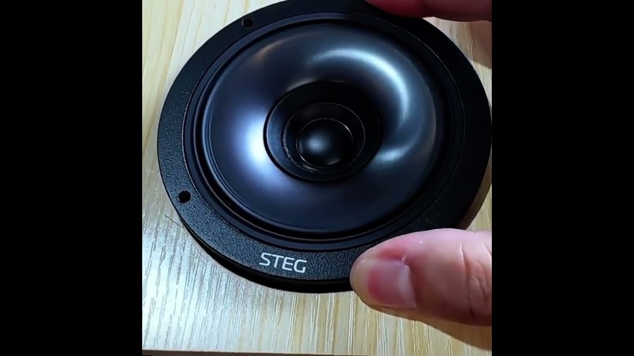 国内正規品】STEG 「Q4C」 4インチ ハイエンド同軸フルレンジ