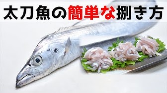 太刀魚 Youtube