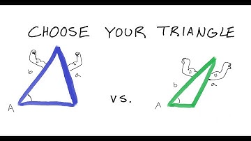 The Ambiguous Case of Sine - Gr. 11 Math