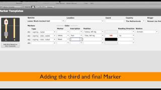 Marked Birds Database v1.1 - Creating templates