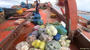 Ghe Cào Đôi Vào Đảo Phú Quốc Lấy Chi Phí | Anh Ngư Phủ