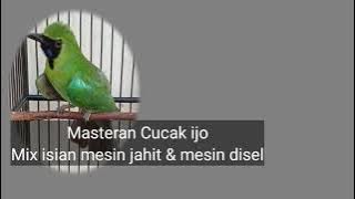 Mix Masteran Cucak Ijo isian mesin jahit & mesin disel