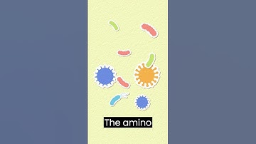 The Power of Protein  Building Strong Muscles in 60 Seconds #shorts #trending #youtubeshorts