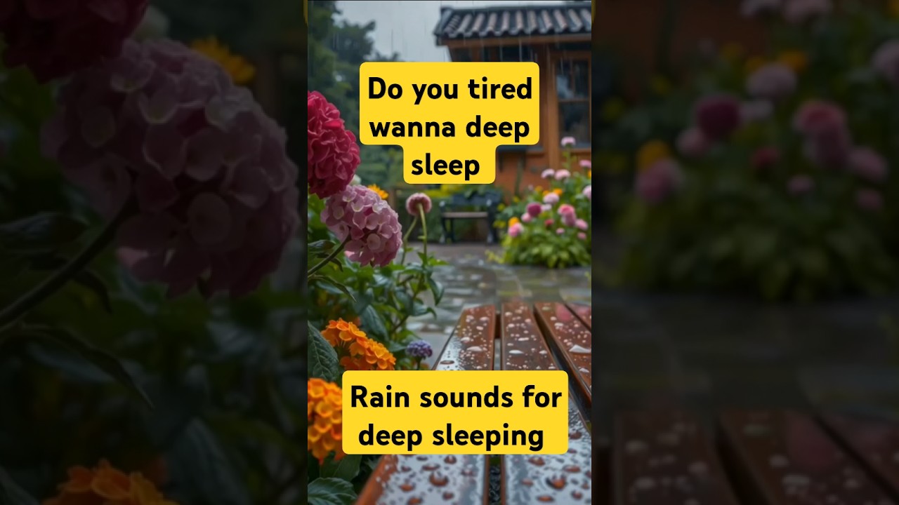 Rain sounds for deep sleeping | 