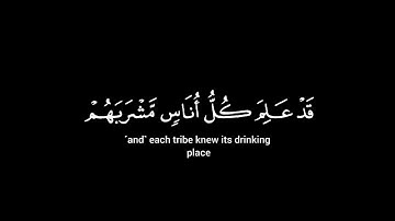 كرومت سورة البقره 🖤 من الايه59 إلى 60 #كرومت#سورة#البقره#من#الأيه#59#الى#60#قران#وقف_القتال_في_رمضان