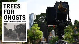 8x10 Large Format Photography & Platinum Palladium Print | Silent Vlog
