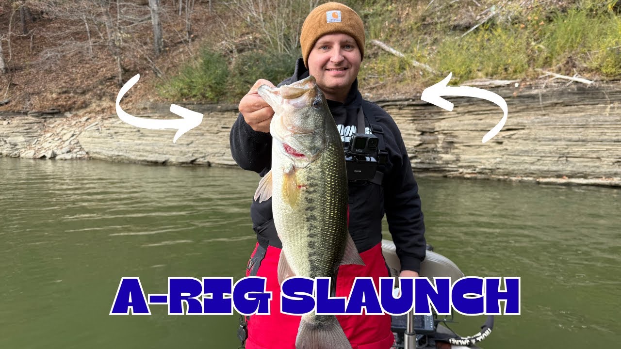 Ловля гигантского большеротого окуня в ноябре 2025 г.