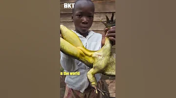Cameroon Things You Never Knew 