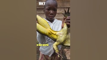 Thumbnail of Cameroon -Things you never knew