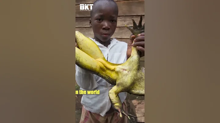 Cameroon -Things you never knew