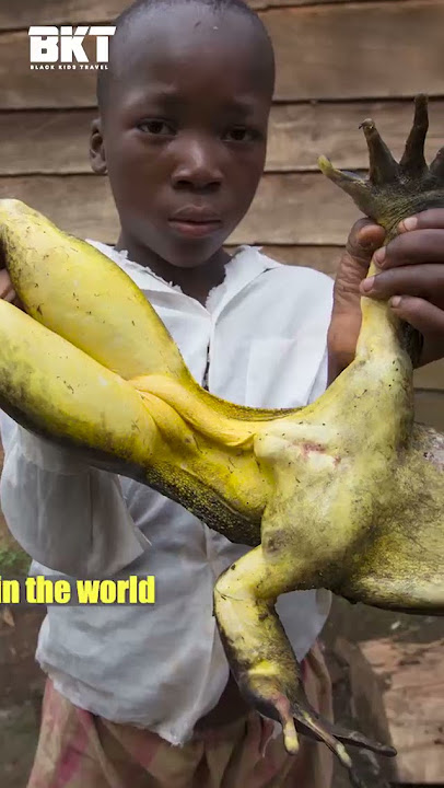 Cameroon -Things you never knew