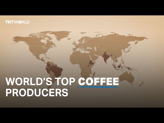 Who are the largest coffee producers in the world? class=