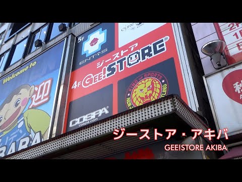 Welocome to Akihabara Denkigai ～ジーストア・アキバ～