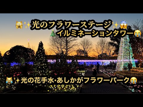🙀🎄✨光のフラワーステージ・イルミネーションタワー・光の花手水✨イルミネーション２０２４✨Part2✨😱あしかがフラワーパーク(26m41s）🤣BGM:#riokazumiのピアノ語り