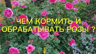 видео: Чем я кормлю и обрабатываю розы. Обрезка роз по полной программе. Немного красоты.🌹🌹🌹 картинка: Чем я кормлю и обрабатываю розы. Обрезка роз по полной программе. Немного красоты.🌹🌹🌹