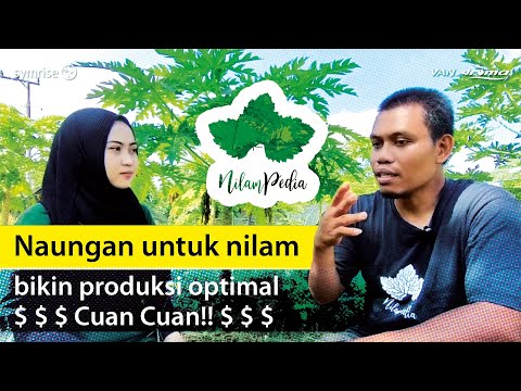 60. Naungan untuk