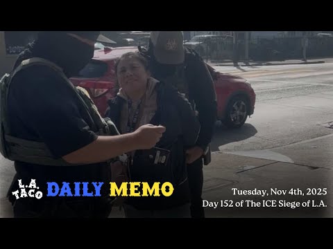 Feds Rip Through Election Day, Taking At Least 25, Including Toddler and Her U.S. Citizen Father