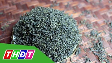 Gần 4 triệu đồng một kg trà đinh Thái Nguyên | THDT