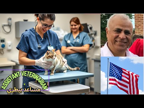 كيفية تصبح مساعد طبيب بيطري والمهارات المطلوبة        