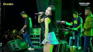 D'RADJA PASTI AJA - ILUSI TAK BERTEPI - FEBY PESEK - HAPPY PARTY GARDU - MLATEN MIJEN DEMAK