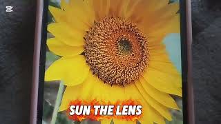 🌻 Sunflower Photo Editing Tutorial #trending #viral #foryou  screenshot 1