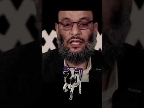 أقوى بوم صار وخي يتلق اه شيطي الشيعة لا علاقة لهم بالإسلام لطمكم طرب وليد اسماعيل الدافع